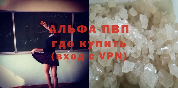 ПСИЛОЦИБИНОВЫЕ ГРИБЫ Белокуриха