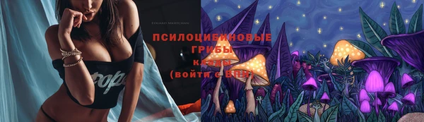 наркотики Богородицк