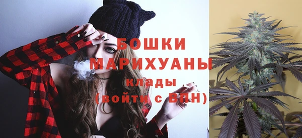 ПСИЛОЦИБИНОВЫЕ ГРИБЫ Белокуриха