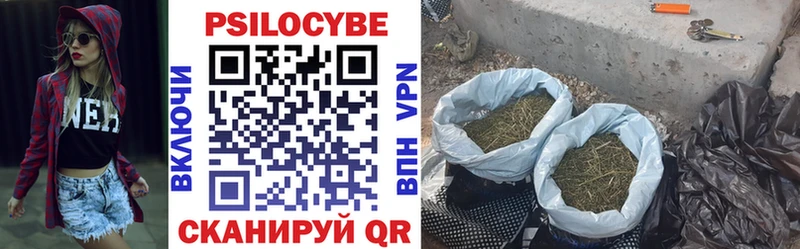маркетплейс клад  Бутурлиновка  Псилоцибиновые грибы Cubensis  где купить наркоту 