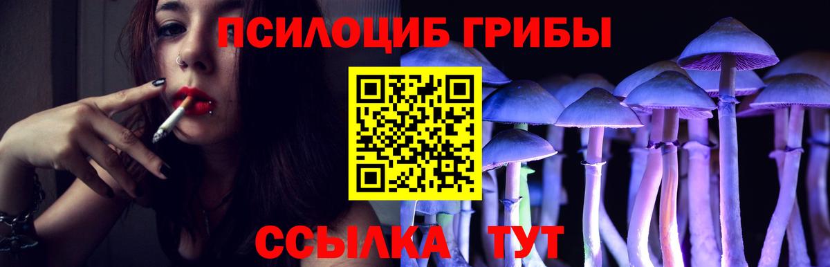 Псилоцибиновые грибы Psilocybine cubensis Бутурлиновка